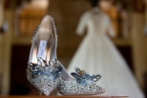 Cinderella Shoes